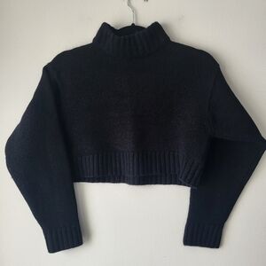 Wilfred Black Cropped Turtleneck Sweater